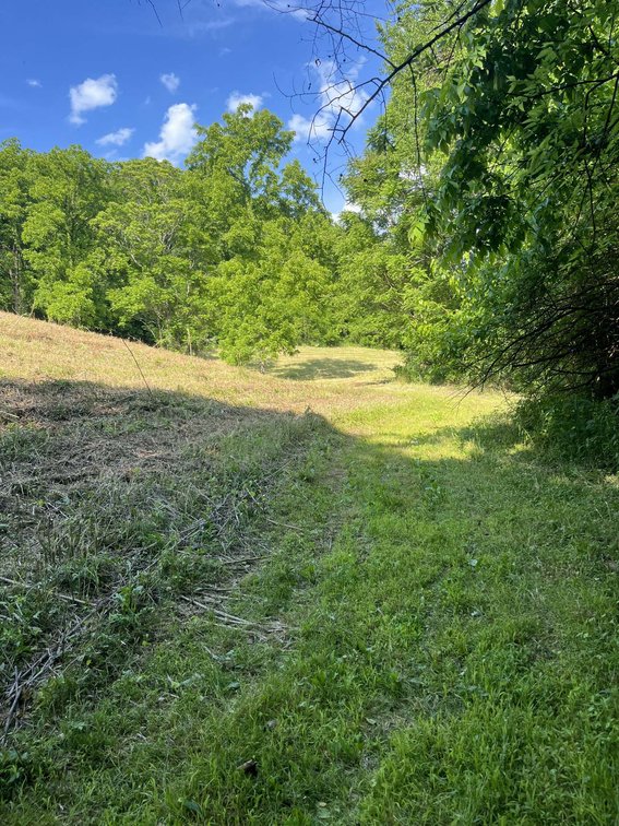 Image for 1771 & 1784 Hurricane Creek, Woodbury