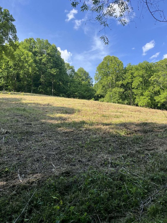 Image for 1771 & 1784 Hurricane Creek, Woodbury