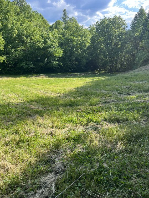Image for 1771 & 1784 Hurricane Creek, Woodbury