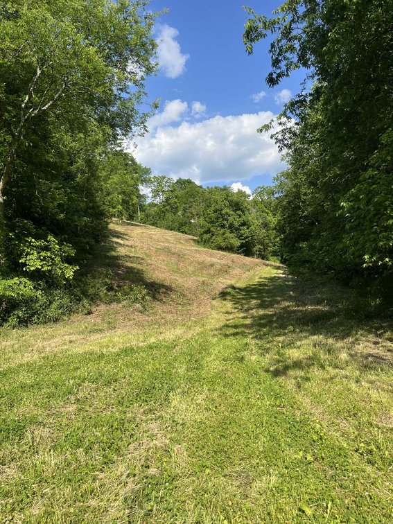 Image for 1771 & 1784 Hurricane Creek, Woodbury