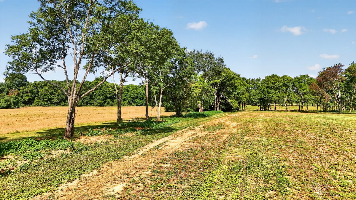 Image for Halls Hill Pike / Guy James Road, Murfreesboro