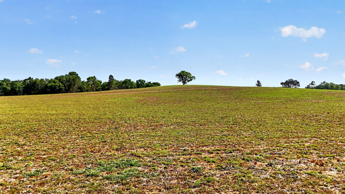 Image for Halls Hill Pike / Guy James Road, Murfreesboro