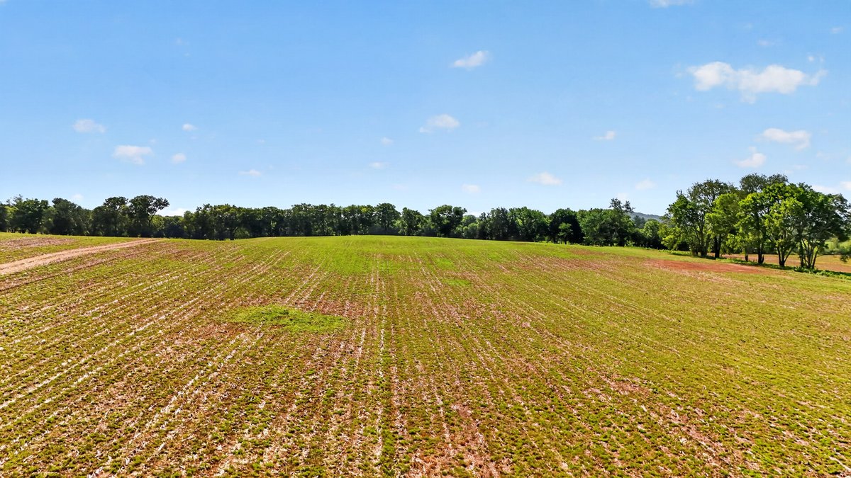 Image for Halls Hill Pike / Guy James Road, Murfreesboro