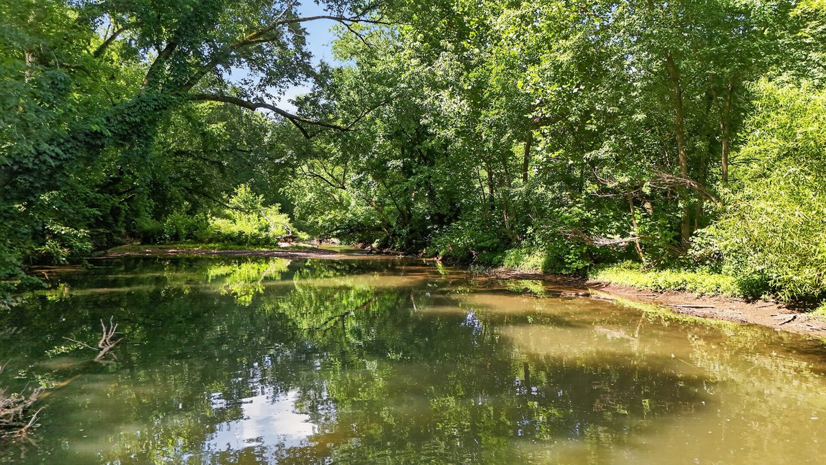 Image for Halls Hill Pike / Guy James Road, Murfreesboro