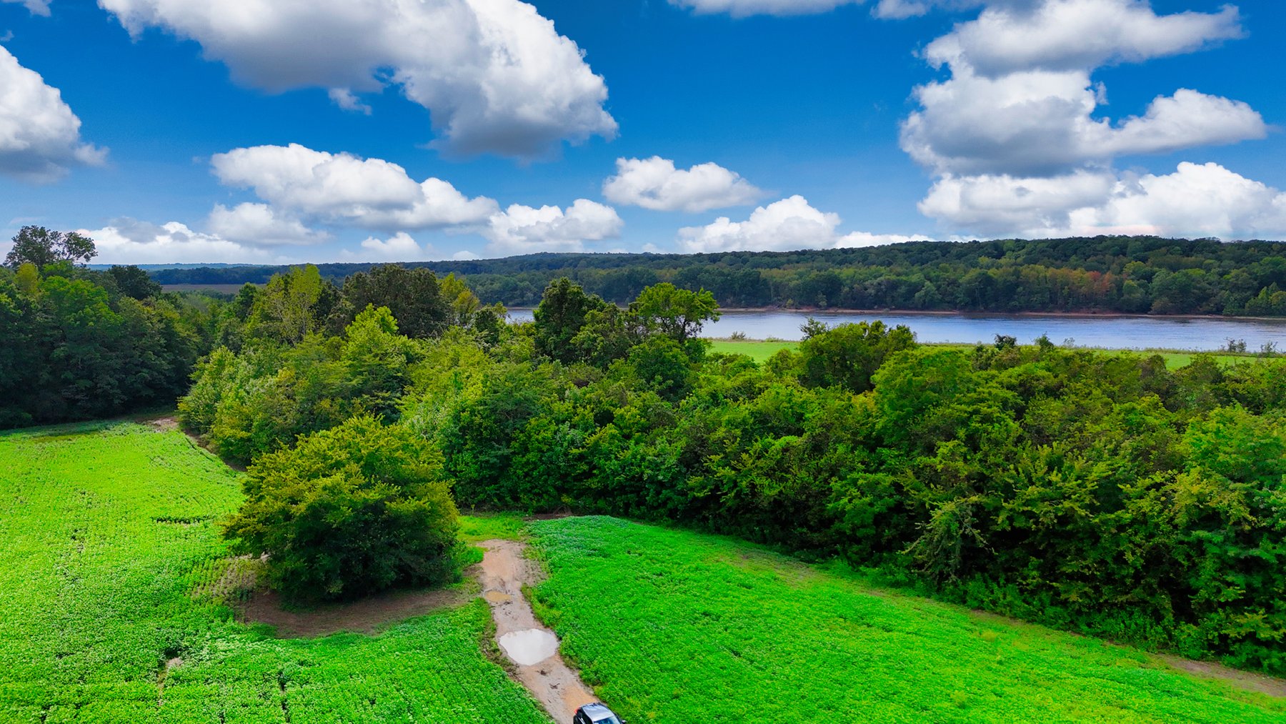 Image for Pittsburg Landing Road, Savannah TN