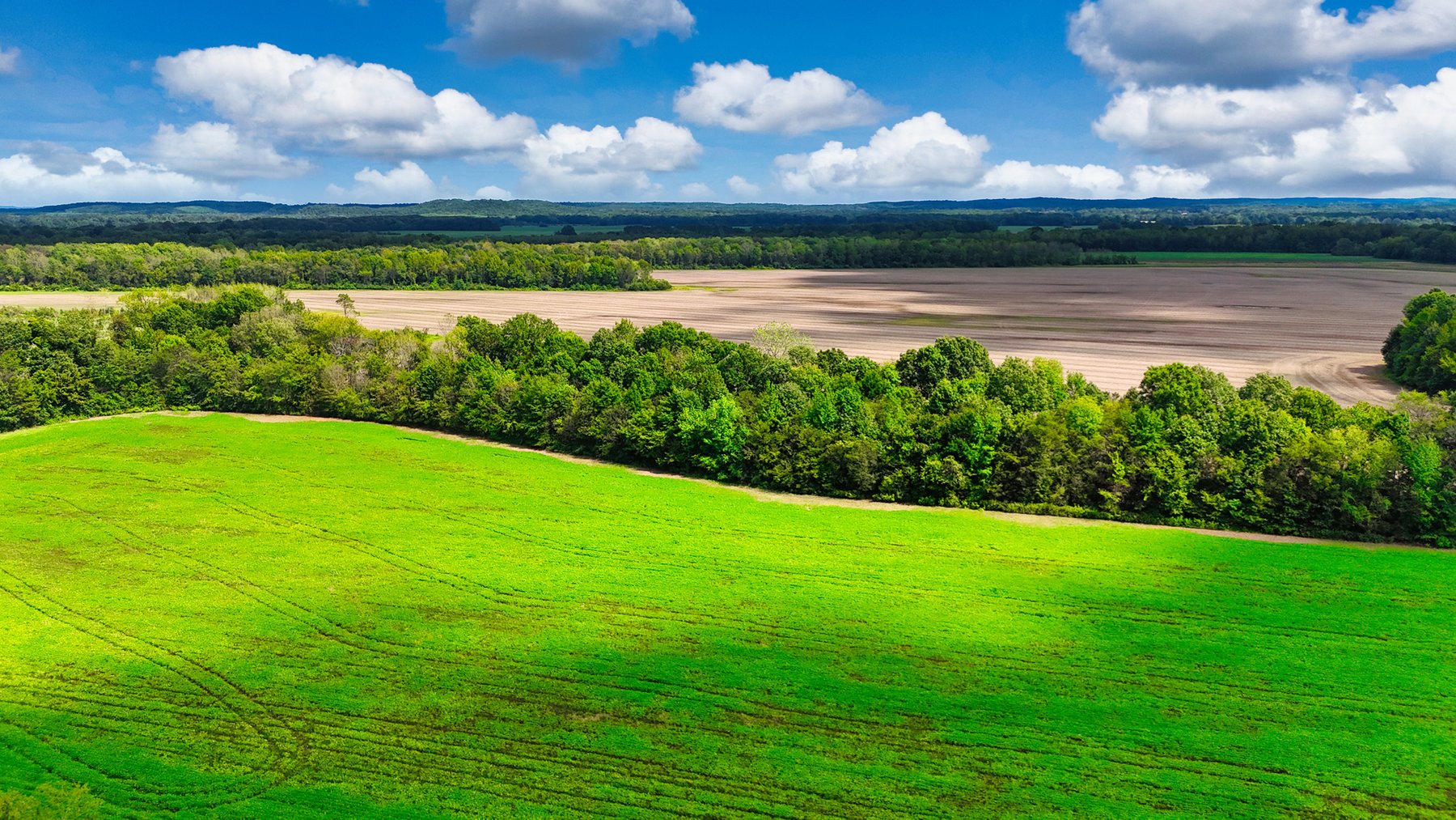 Image for Pittsburg Landing Road, Savannah TN