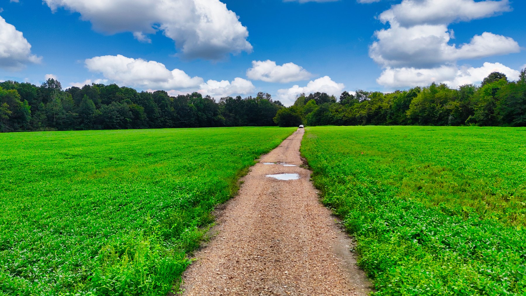 Image for Pittsburg Landing Road, Savannah TN
