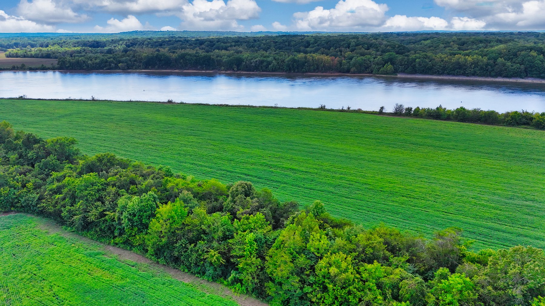 Image for Pittsburg Landing Road, Savannah TN