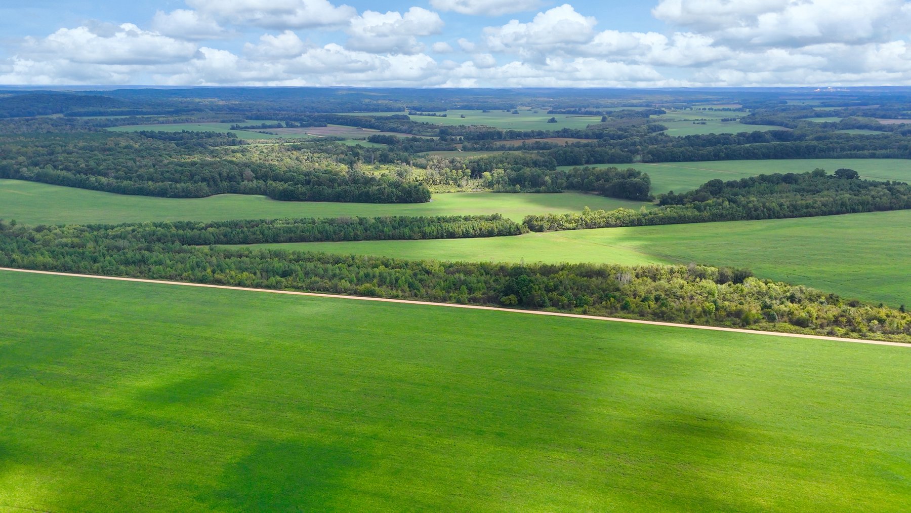 Image for Pittsburg Landing Road, Savannah TN