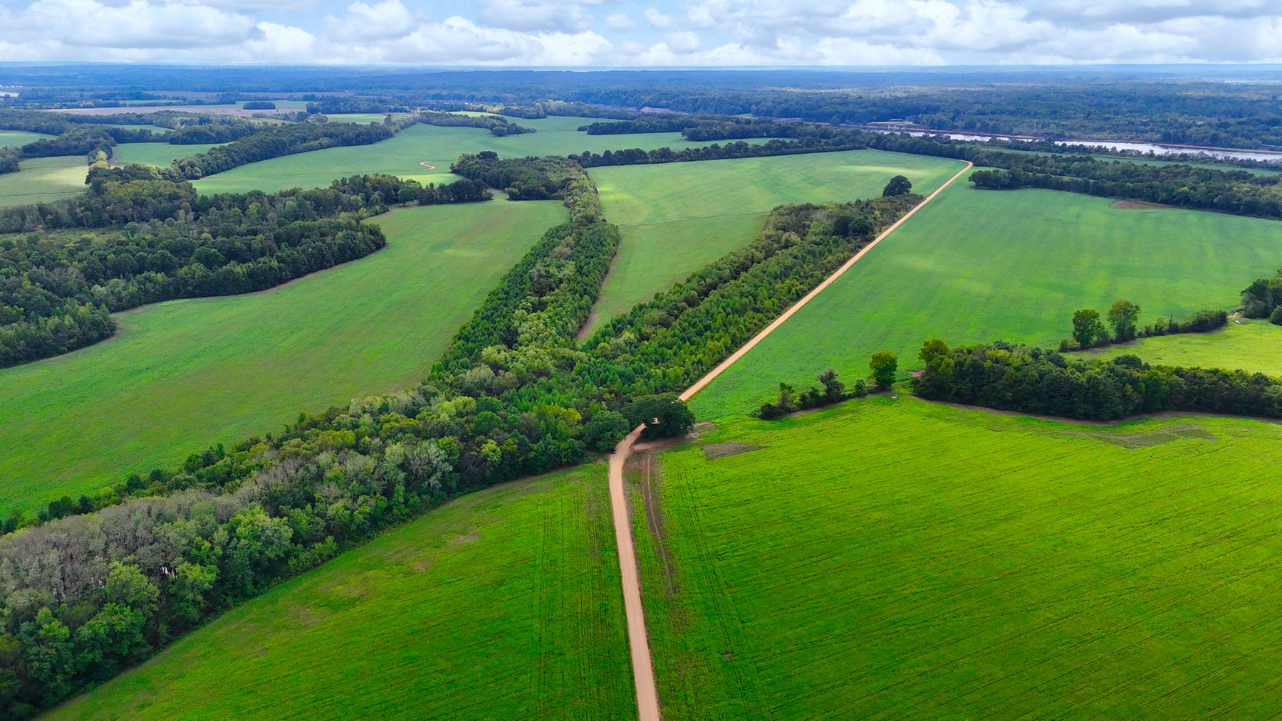 Image for Pittsburg Landing Road, Savannah TN