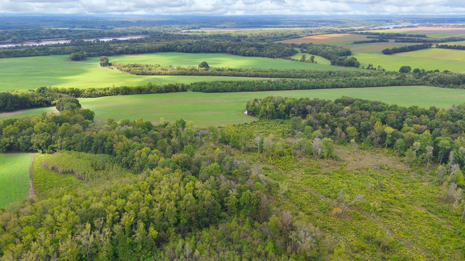 Image for Pittsburg Landing Road, Savannah TN