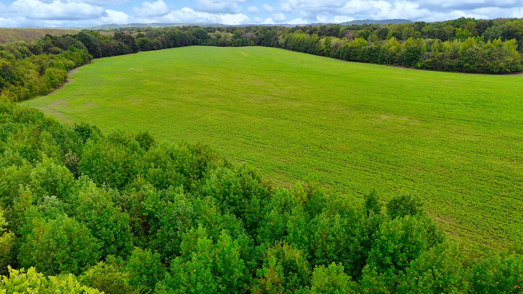 Image for Pittsburg Landing Road, Savannah TN