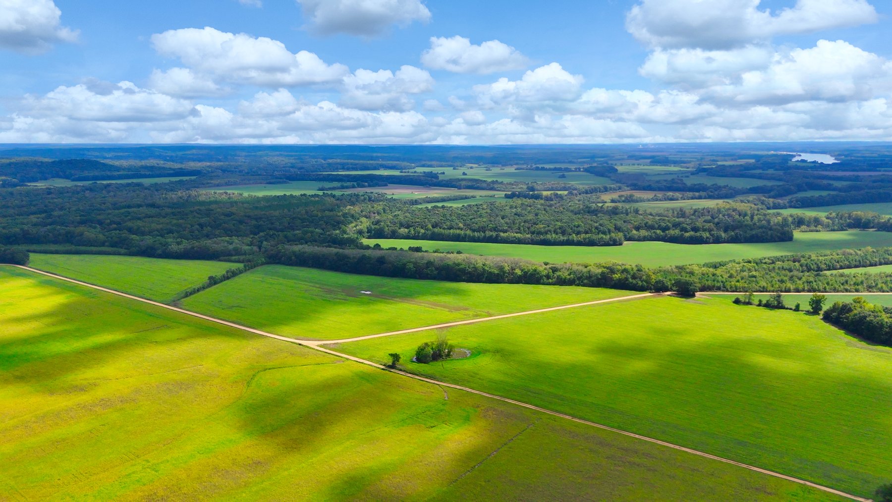 Image for Pittsburg Landing Road, Savannah TN