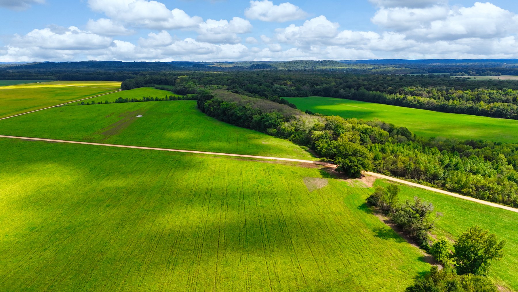Image for Pittsburg Landing Road, Savannah TN