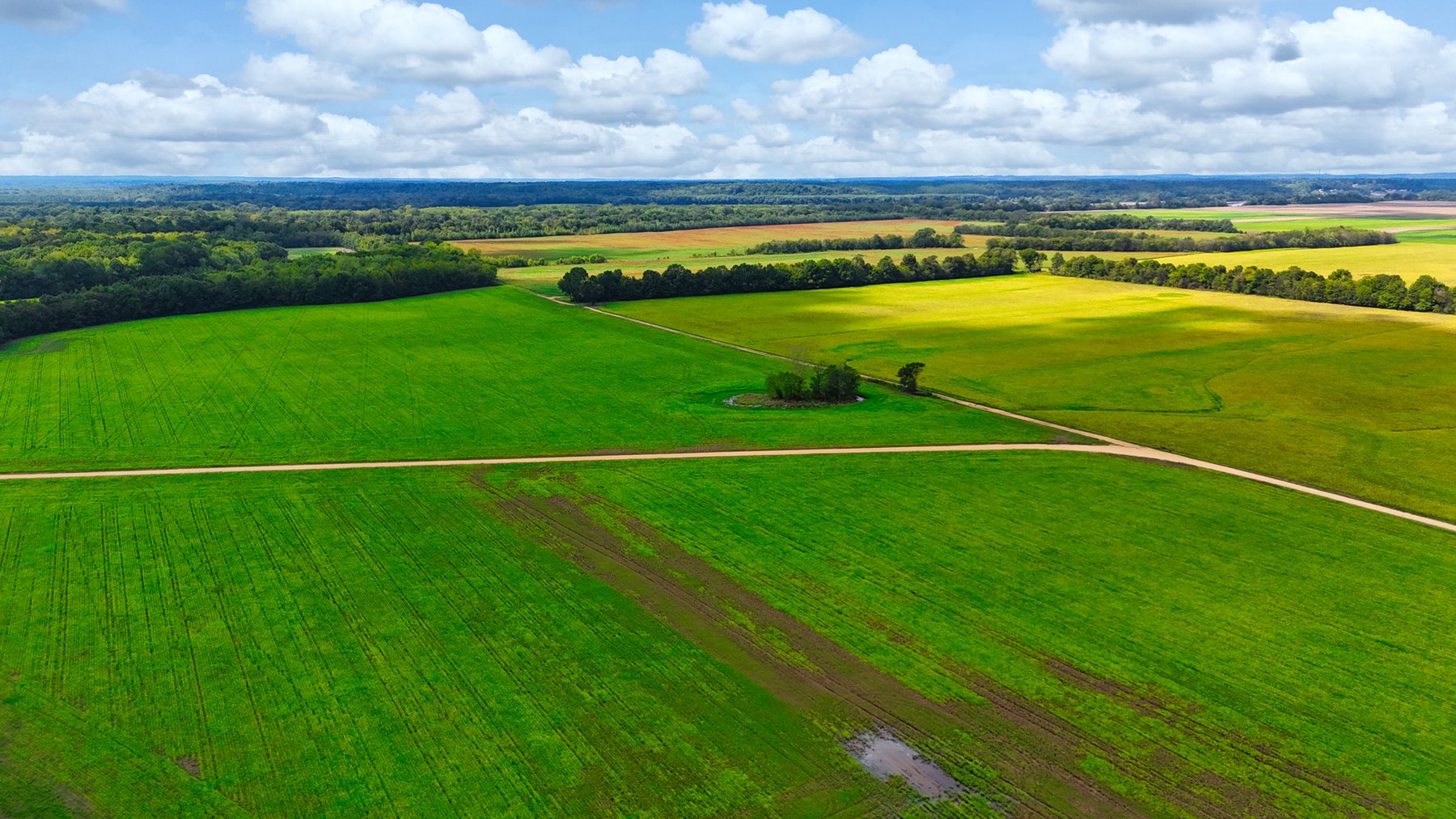 Image for Pittsburg Landing Road, Savannah TN