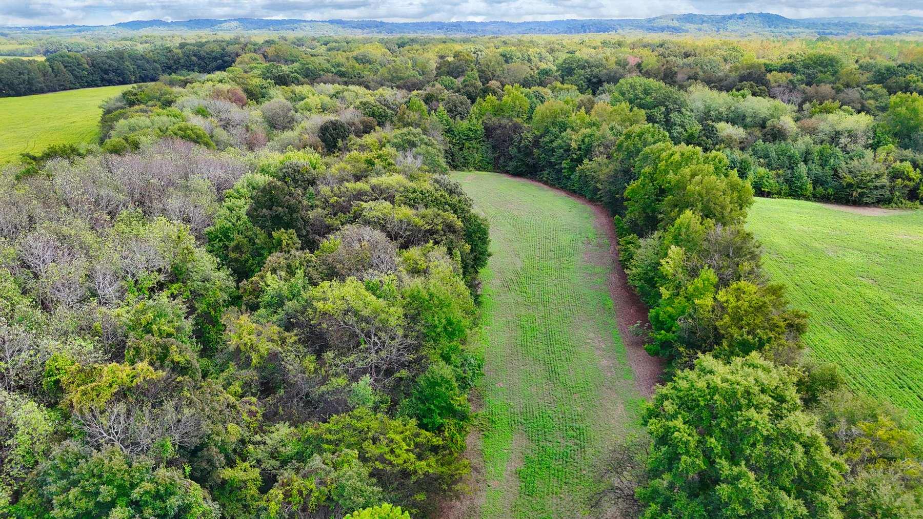 Image for Pittsburg Landing Road, Savannah TN