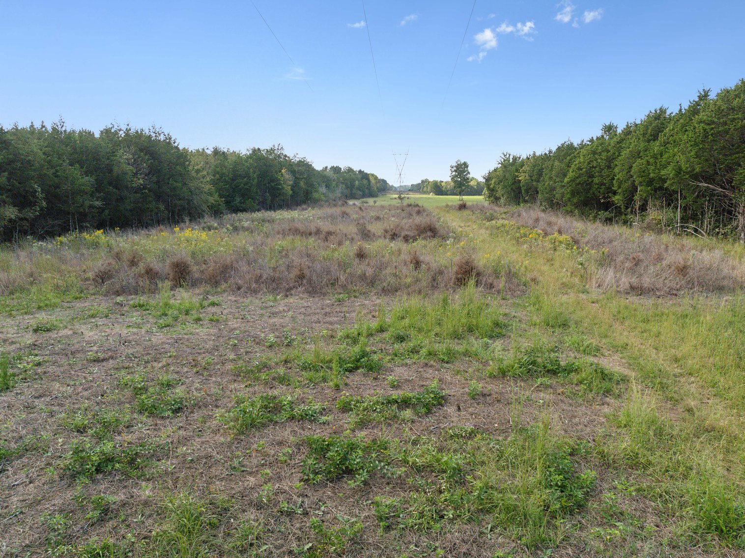 Image for Tract 2 & 3 John Bragg Hwy, Murfreesboro