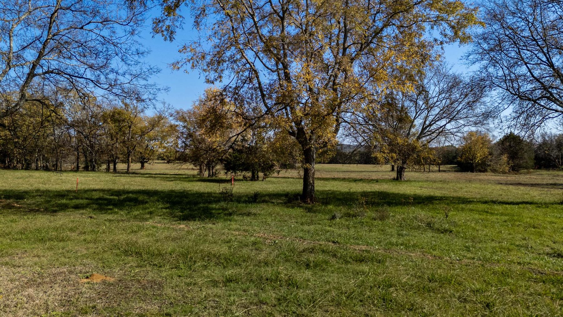 Image for 10265 Rockvale Road, Rockvale