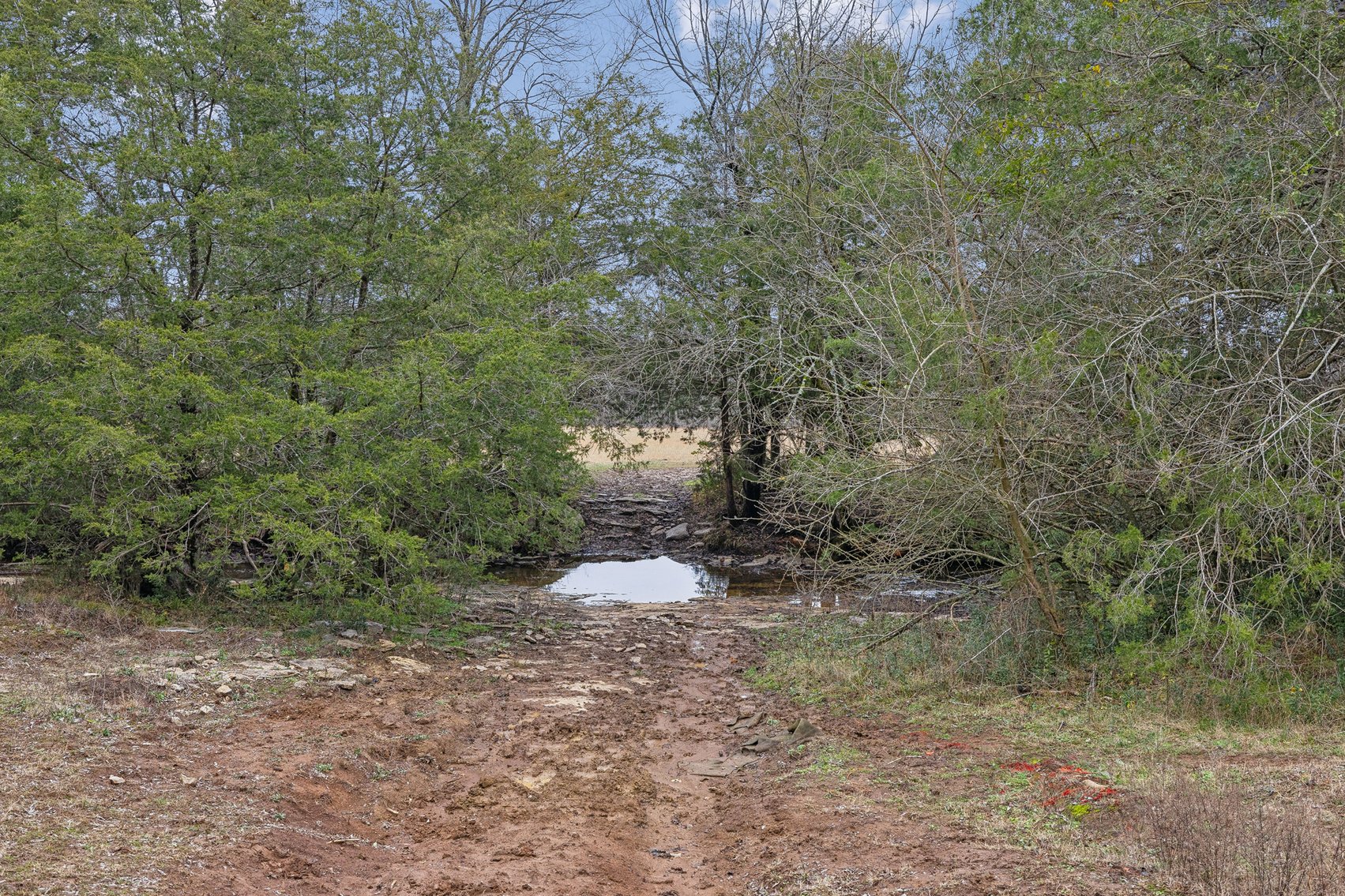 Image for 1624 Hwy. 64W, Shelbyville
