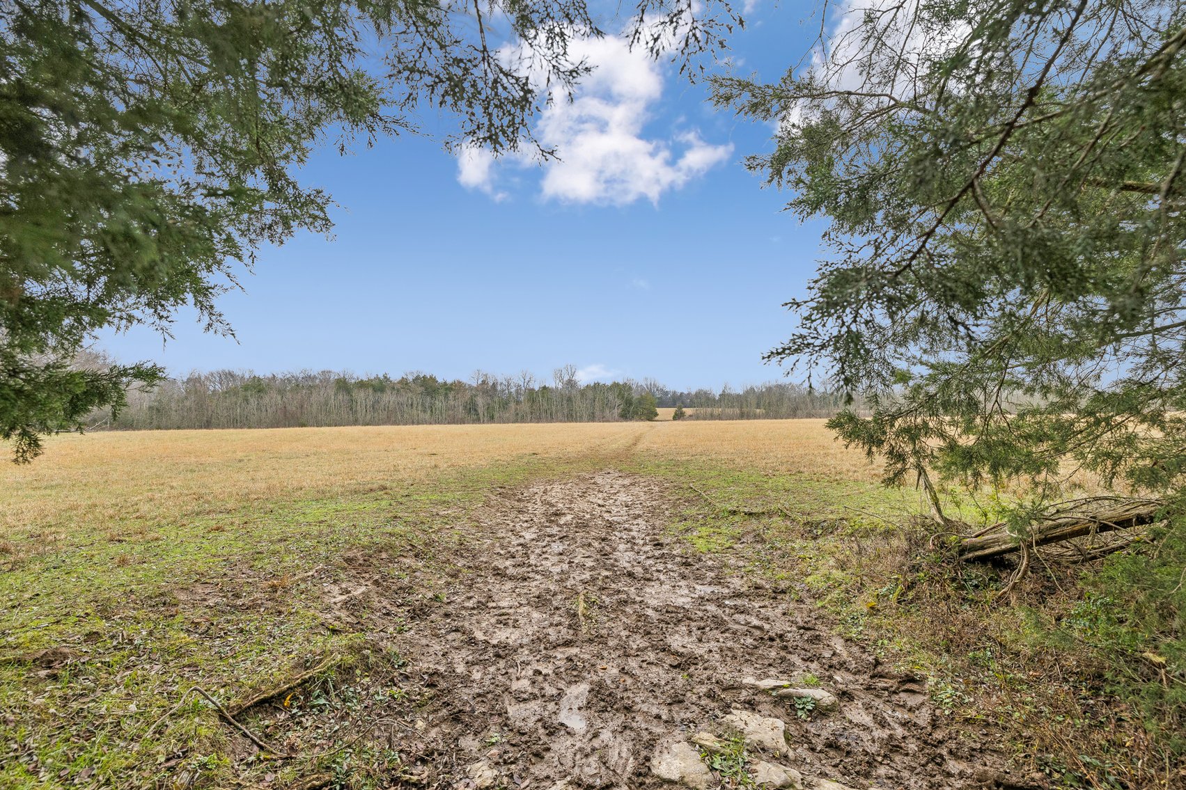 Image for 1624 Hwy. 64W, Shelbyville