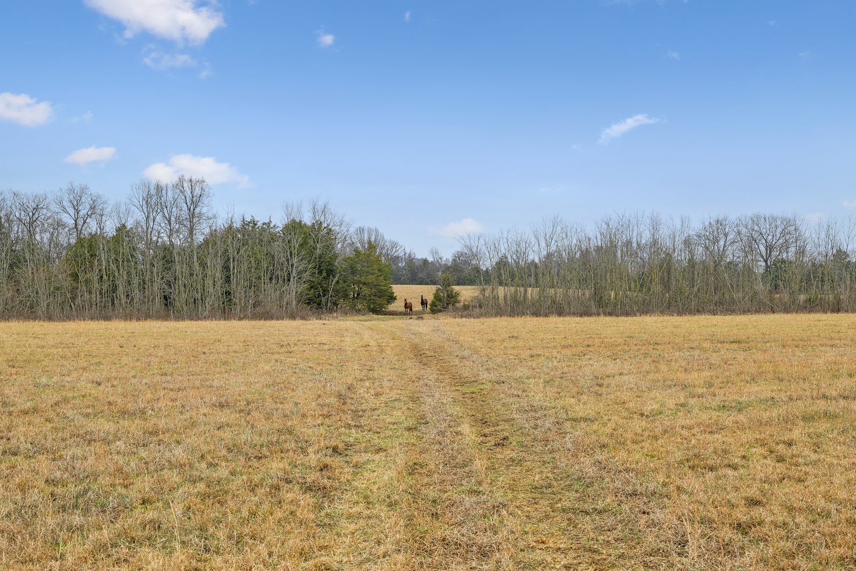 Image for 1624 Hwy. 64W, Shelbyville