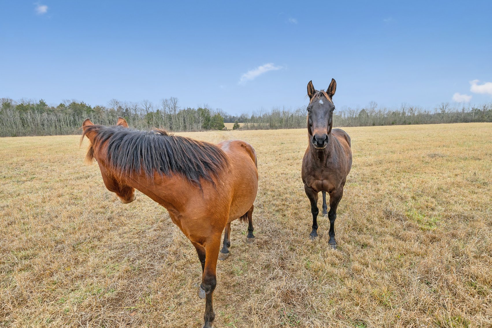 Image for 1624 Hwy. 64W, Shelbyville