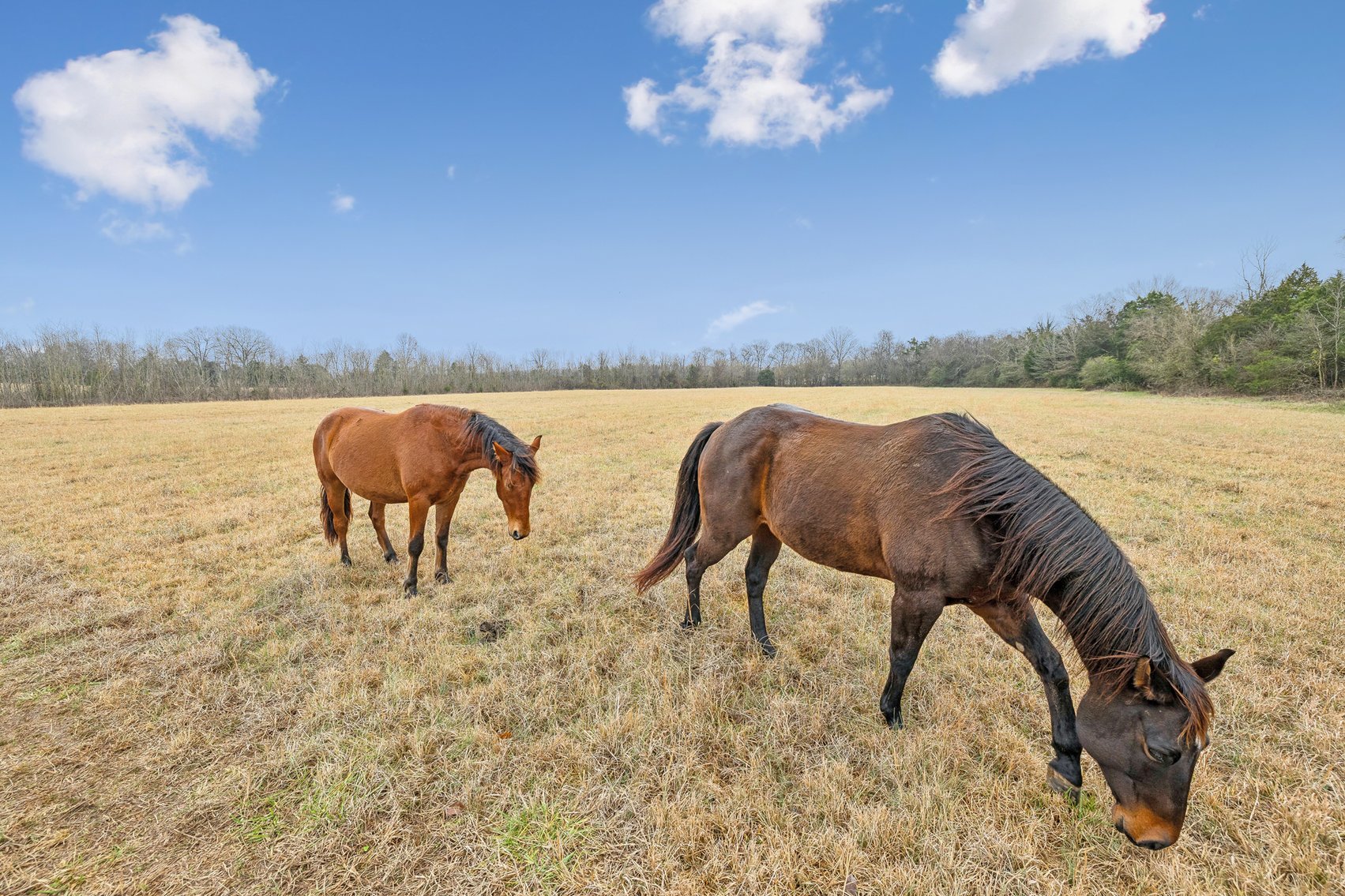 Image for 1624 Hwy. 64W, Shelbyville