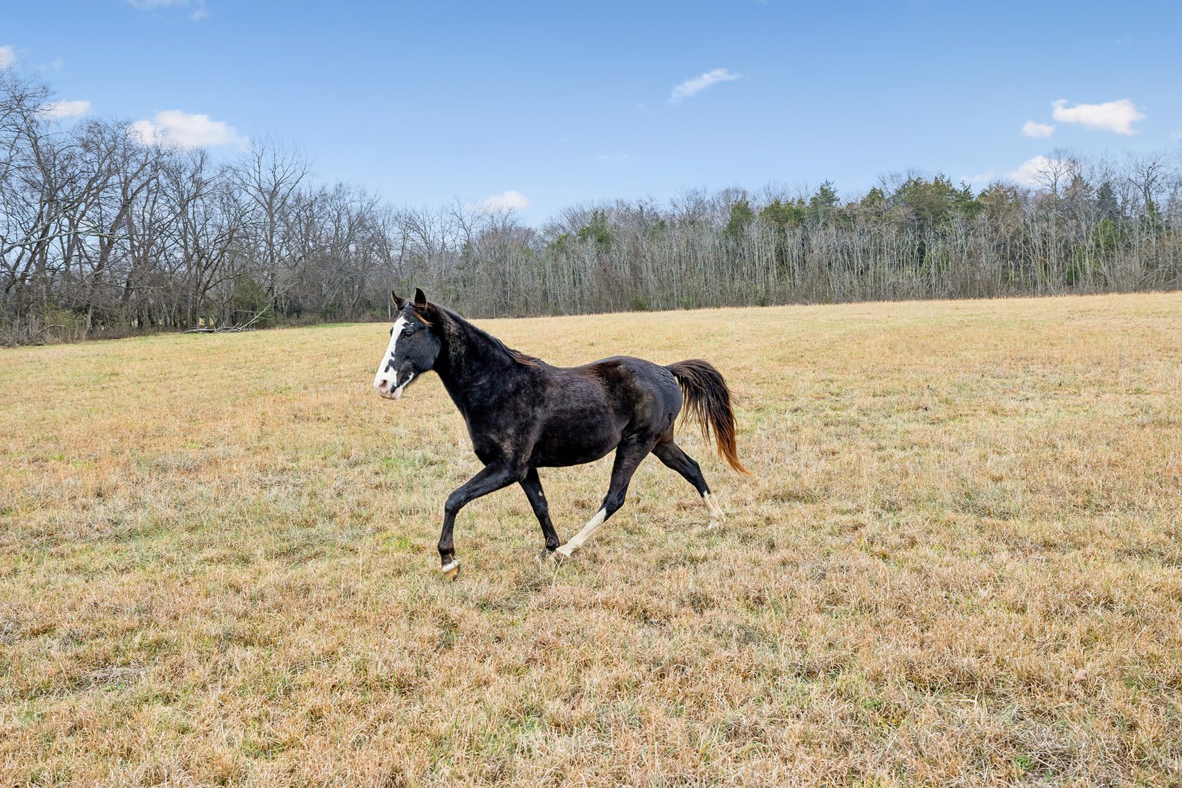 Image for 1624 Hwy. 64W, Shelbyville