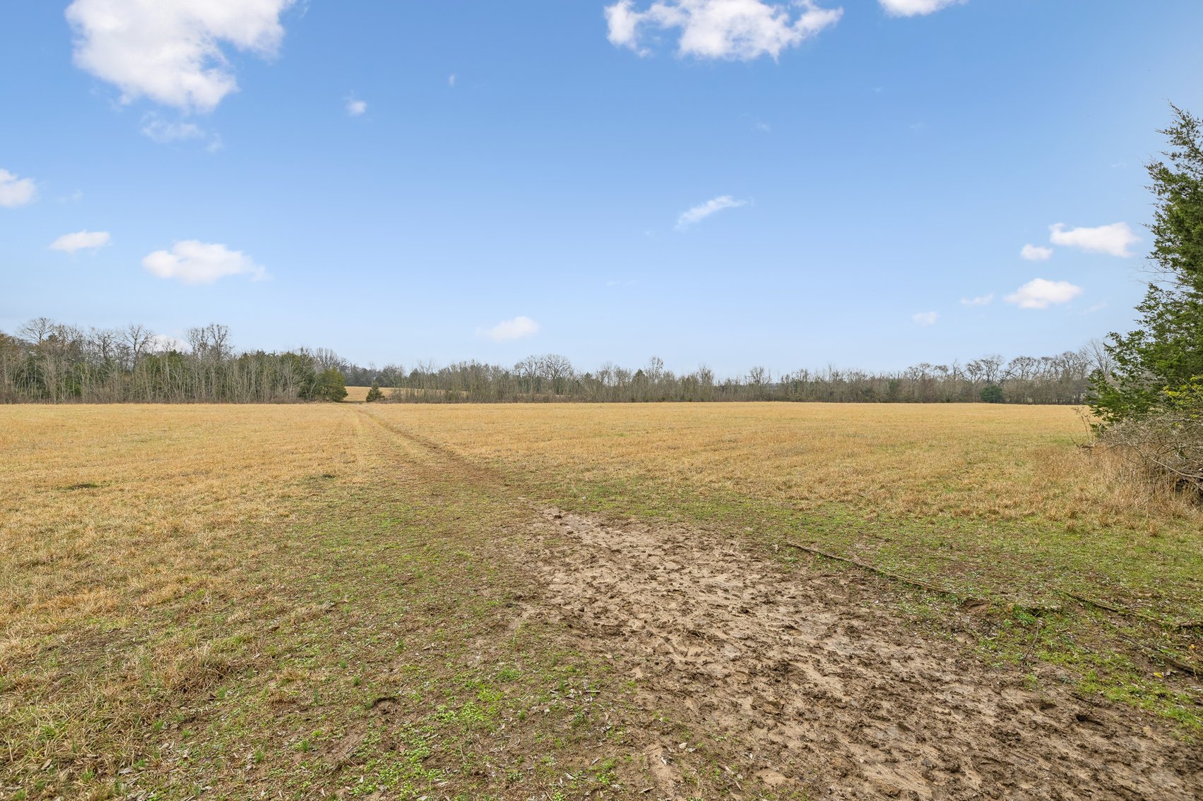 Image for 1624 Hwy. 64W, Shelbyville