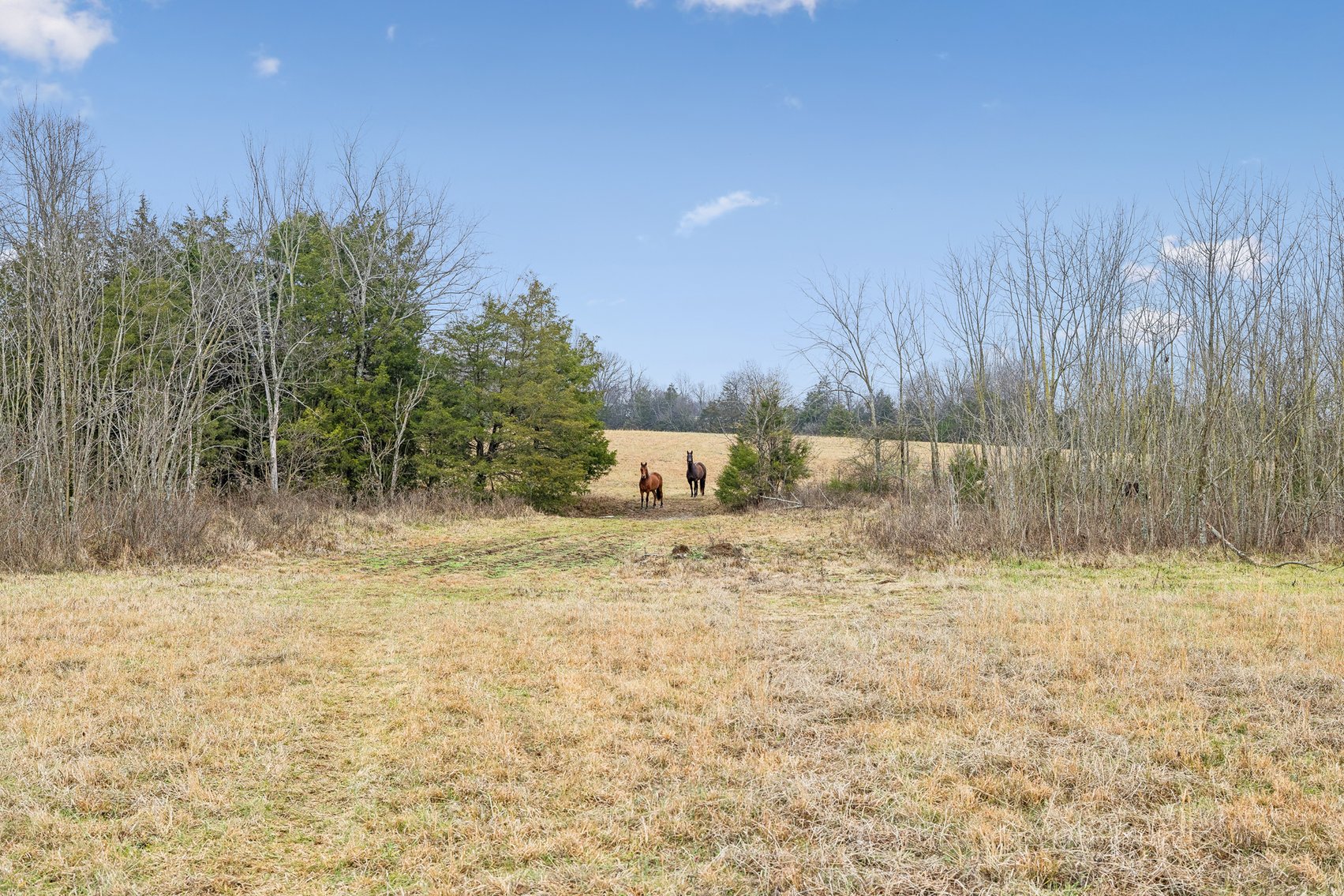 Image for 1624 Hwy. 64W, Shelbyville