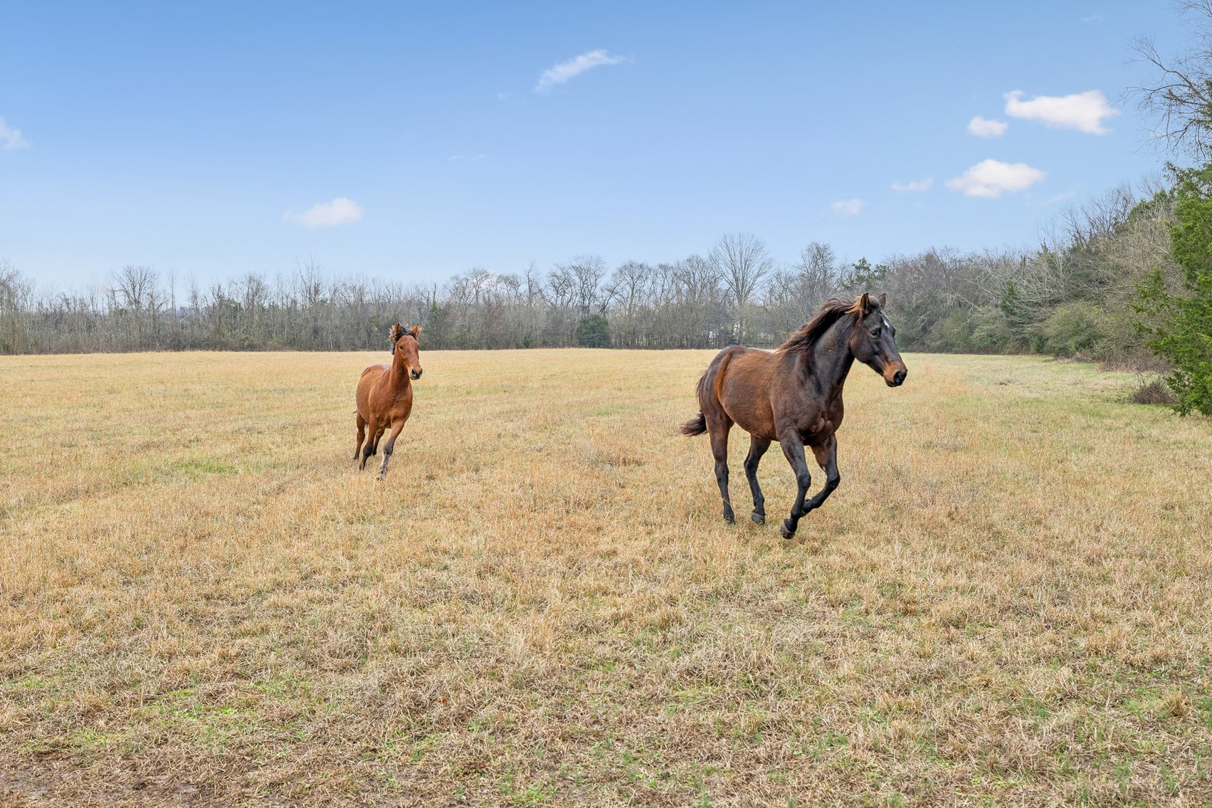 Image for 1624 Hwy. 64W, Shelbyville