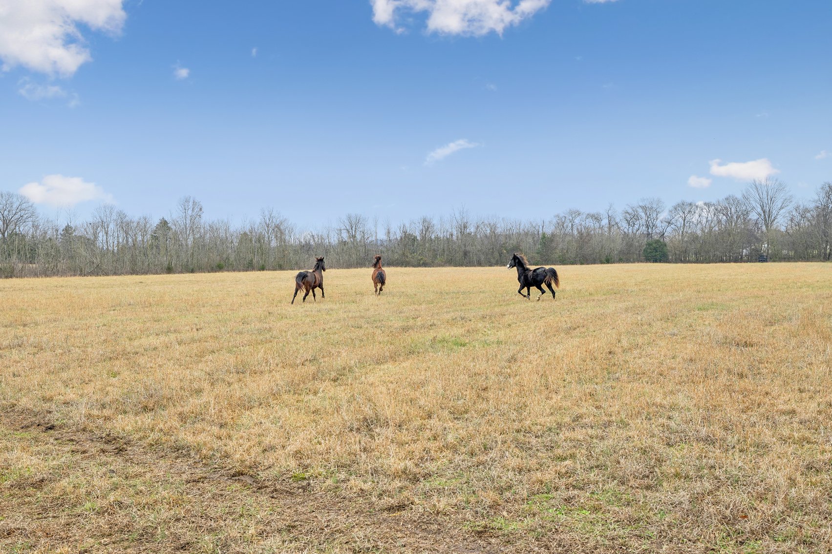 Image for 1624 Hwy. 64W, Shelbyville