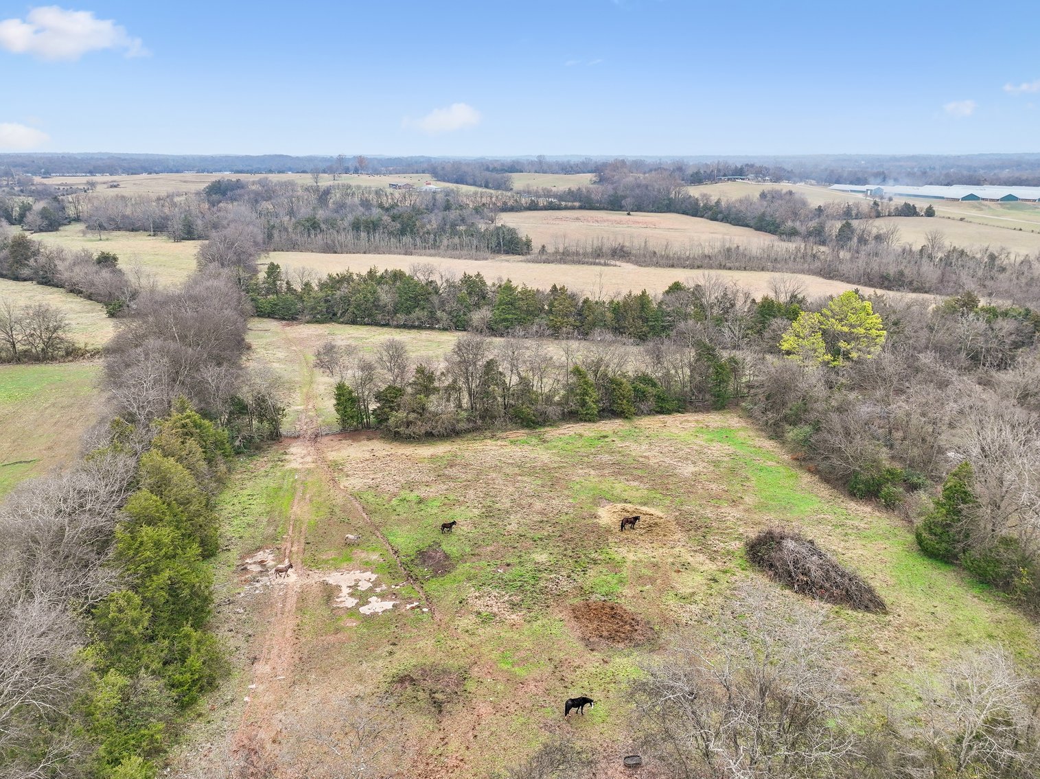 Image for 1624 Hwy. 64W, Shelbyville
