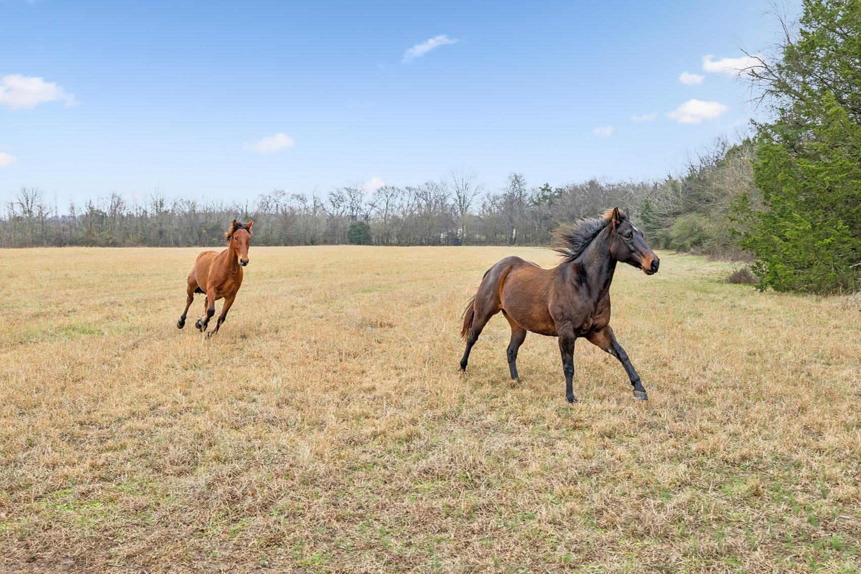Image for 1624 Hwy. 64W, Shelbyville