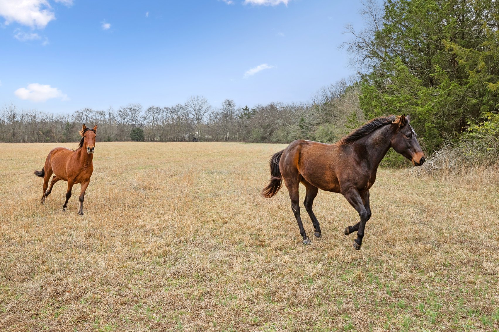 Image for 1624 Hwy. 64W, Shelbyville