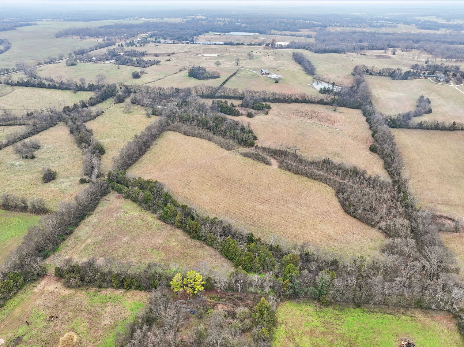 Image for 1624 Hwy. 64W, Shelbyville