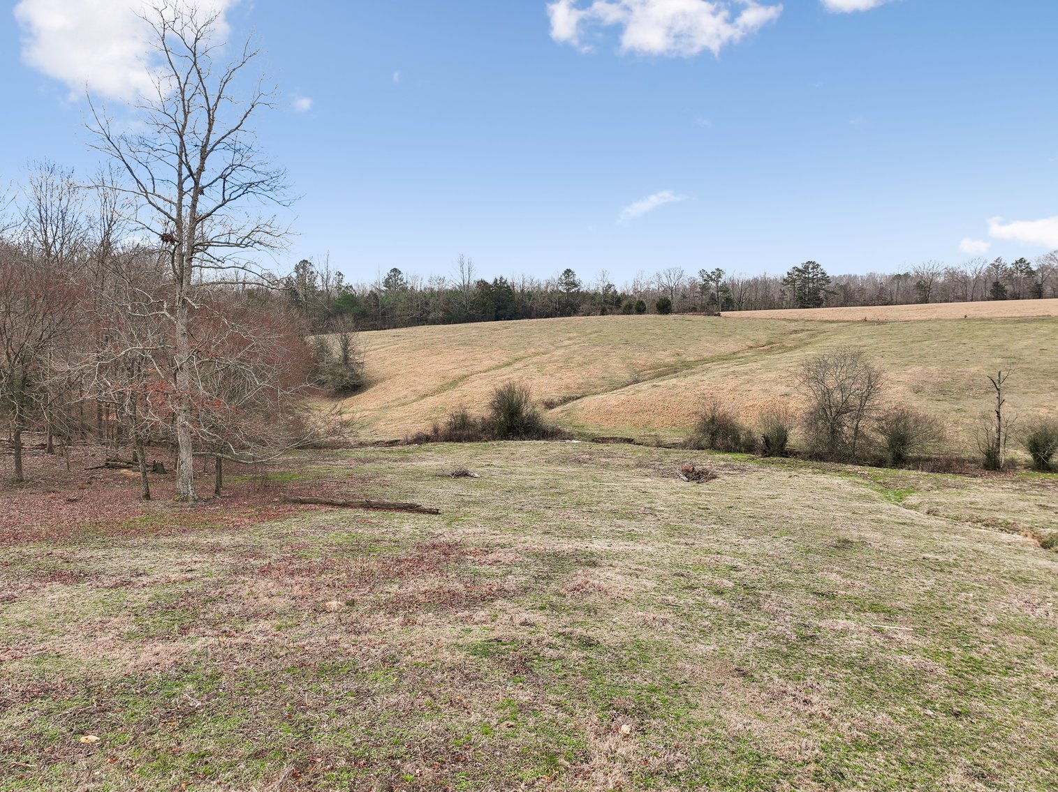 Image for 0 Lee Chapman Road, Pulaski