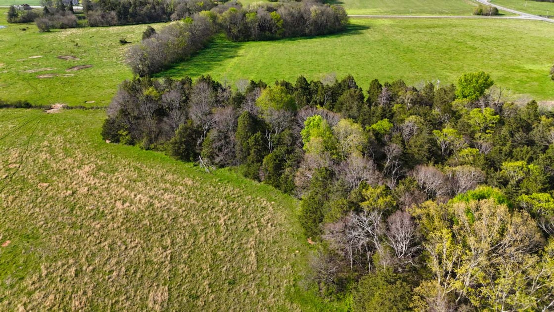 Image for 2108 Powell Lane, Lewisburg - Land