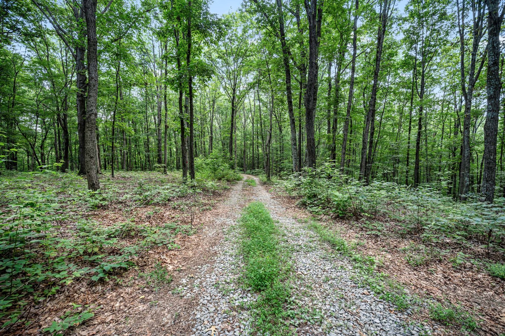 Image for 3590 Parchcorn Hollow Rd, Woodbury
