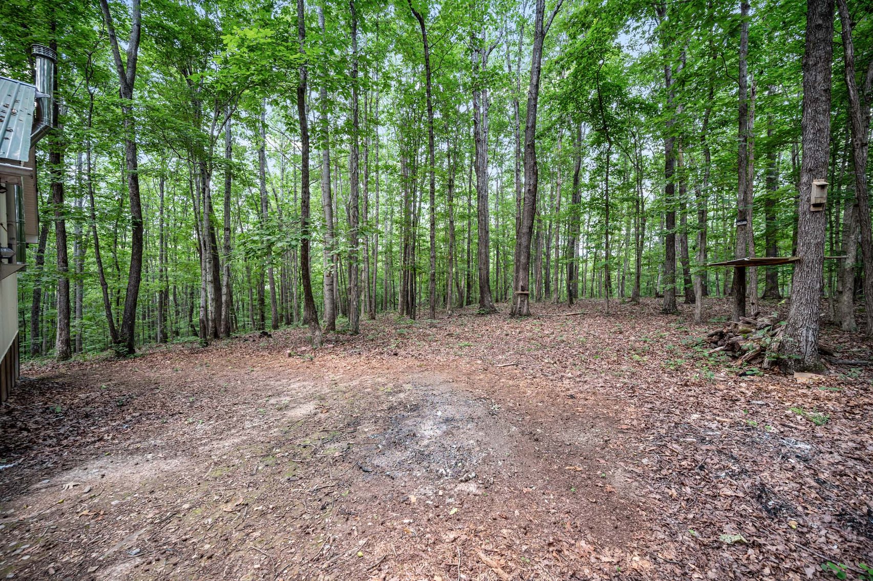 Image for 3590 Parchcorn Hollow Rd, Woodbury