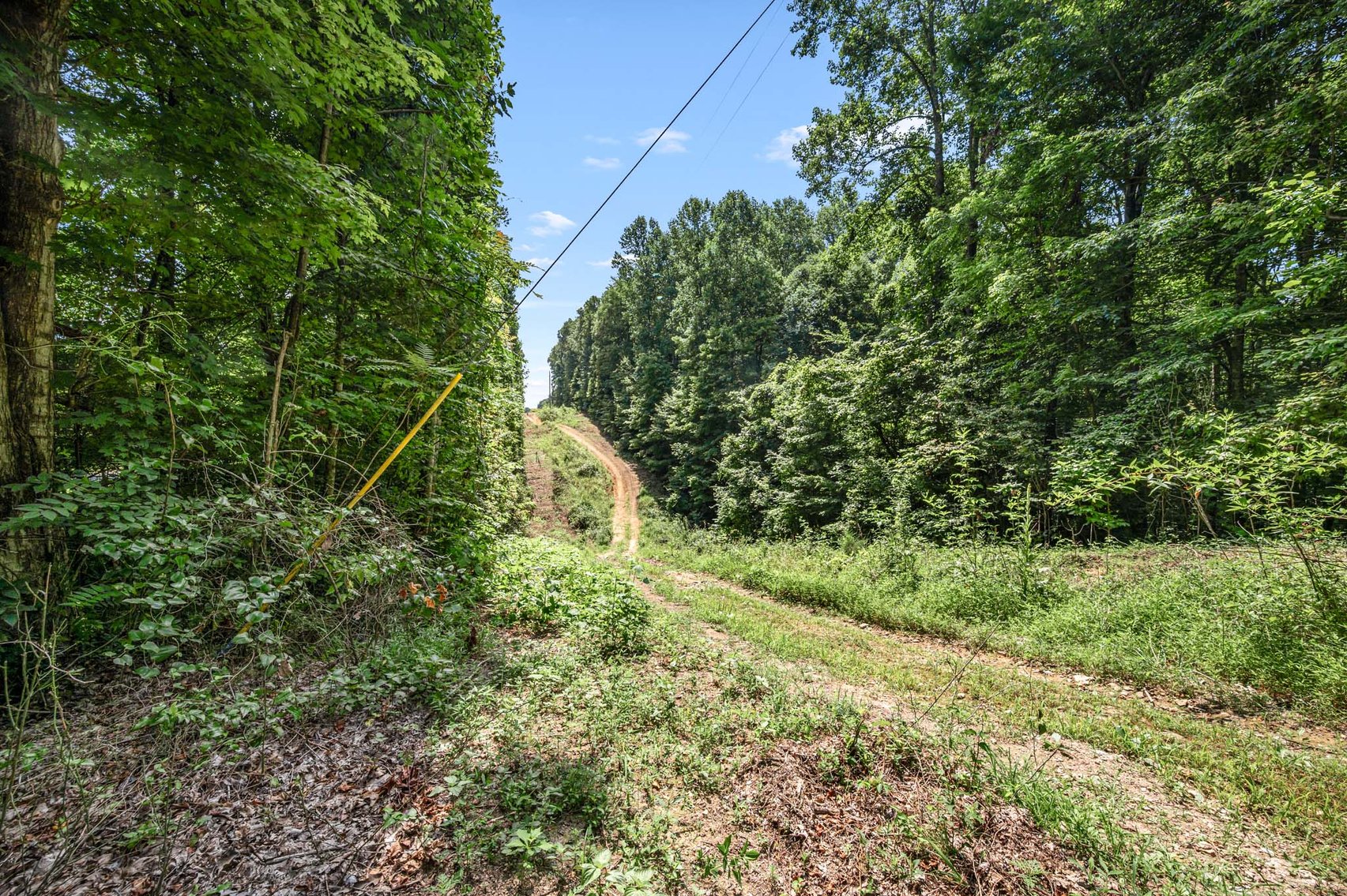 Image for 3590 Parchcorn Hollow Rd, Woodbury