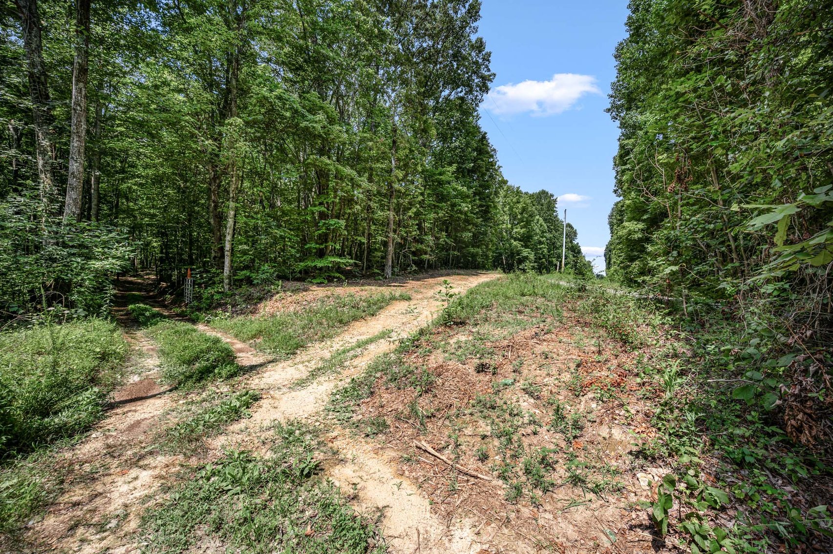 Image for 3590 Parchcorn Hollow Rd, Woodbury