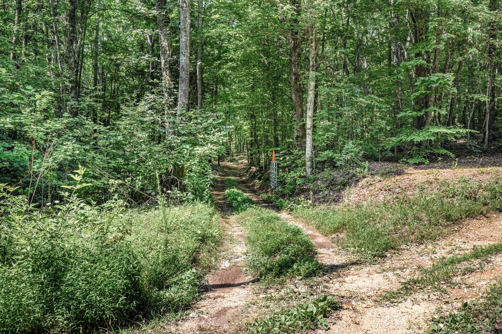 Image for 3590 Parchcorn Hollow Rd, Woodbury