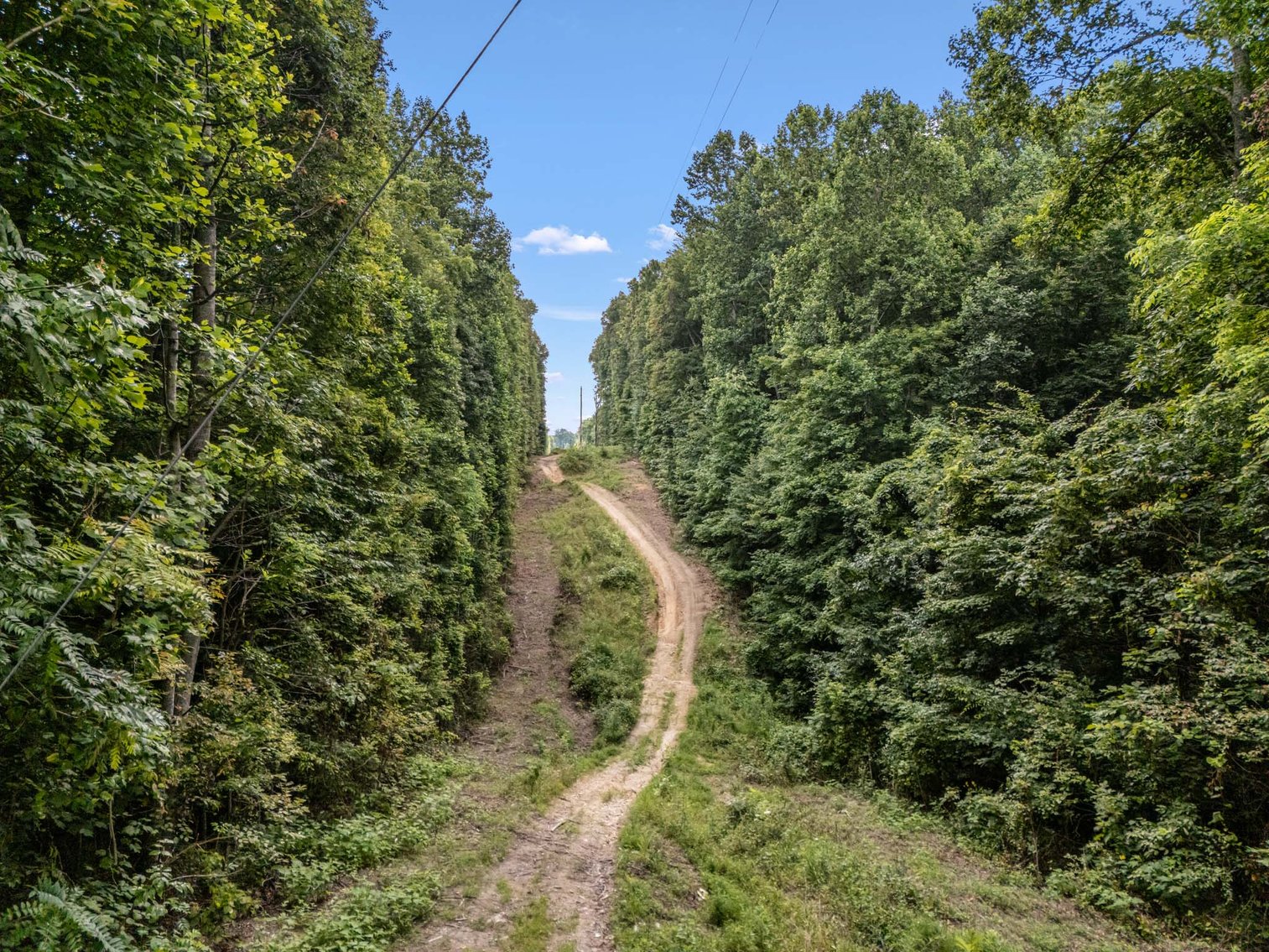 Image for 3590 Parchcorn Hollow Rd, Woodbury