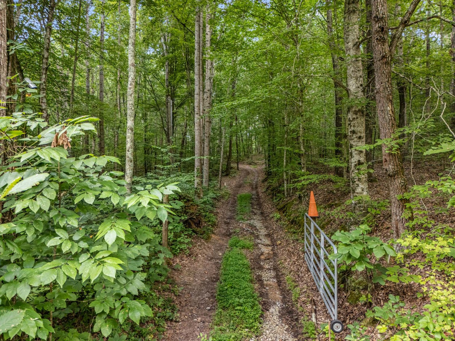Image for 3590 Parchcorn Hollow Rd, Woodbury