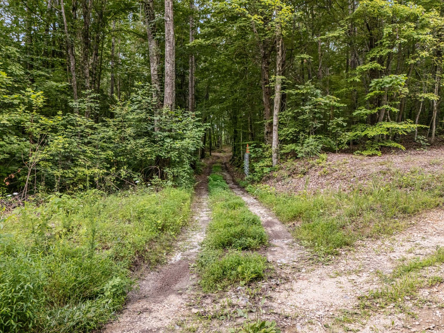 Image for 3590 Parchcorn Hollow Rd, Woodbury