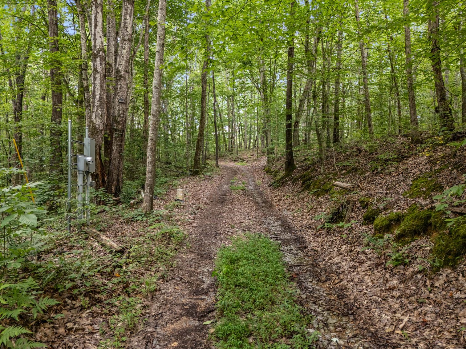 Image for 3590 Parchcorn Hollow Rd, Woodbury
