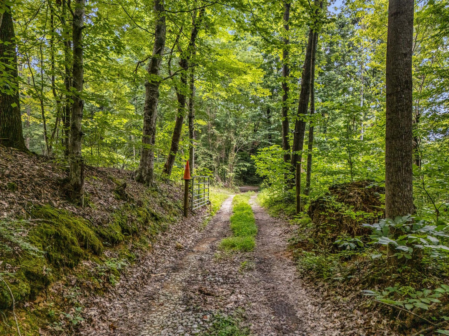 Image for 3590 Parchcorn Hollow Rd, Woodbury