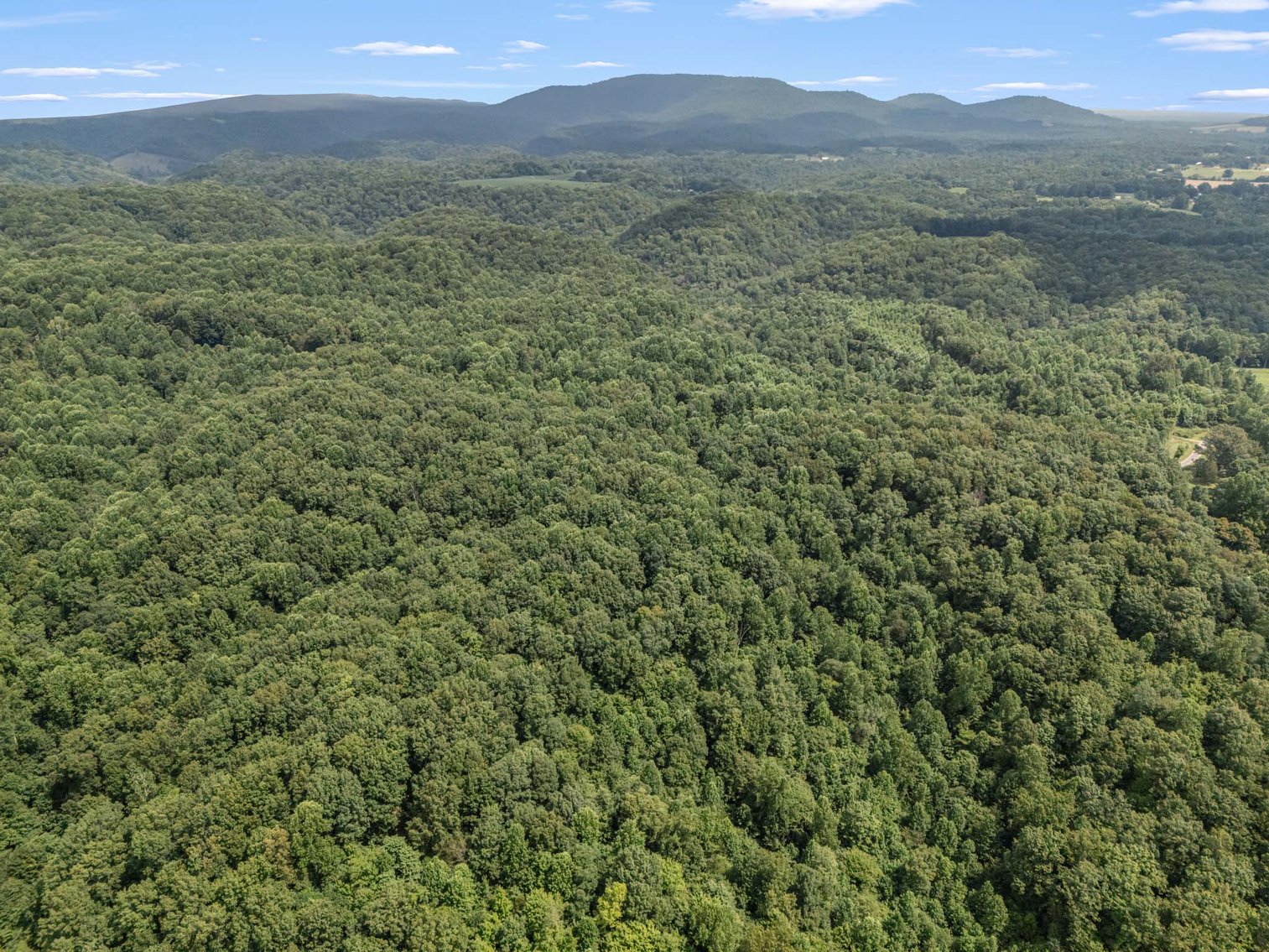 Image for 3590 Parchcorn Hollow Rd, Woodbury