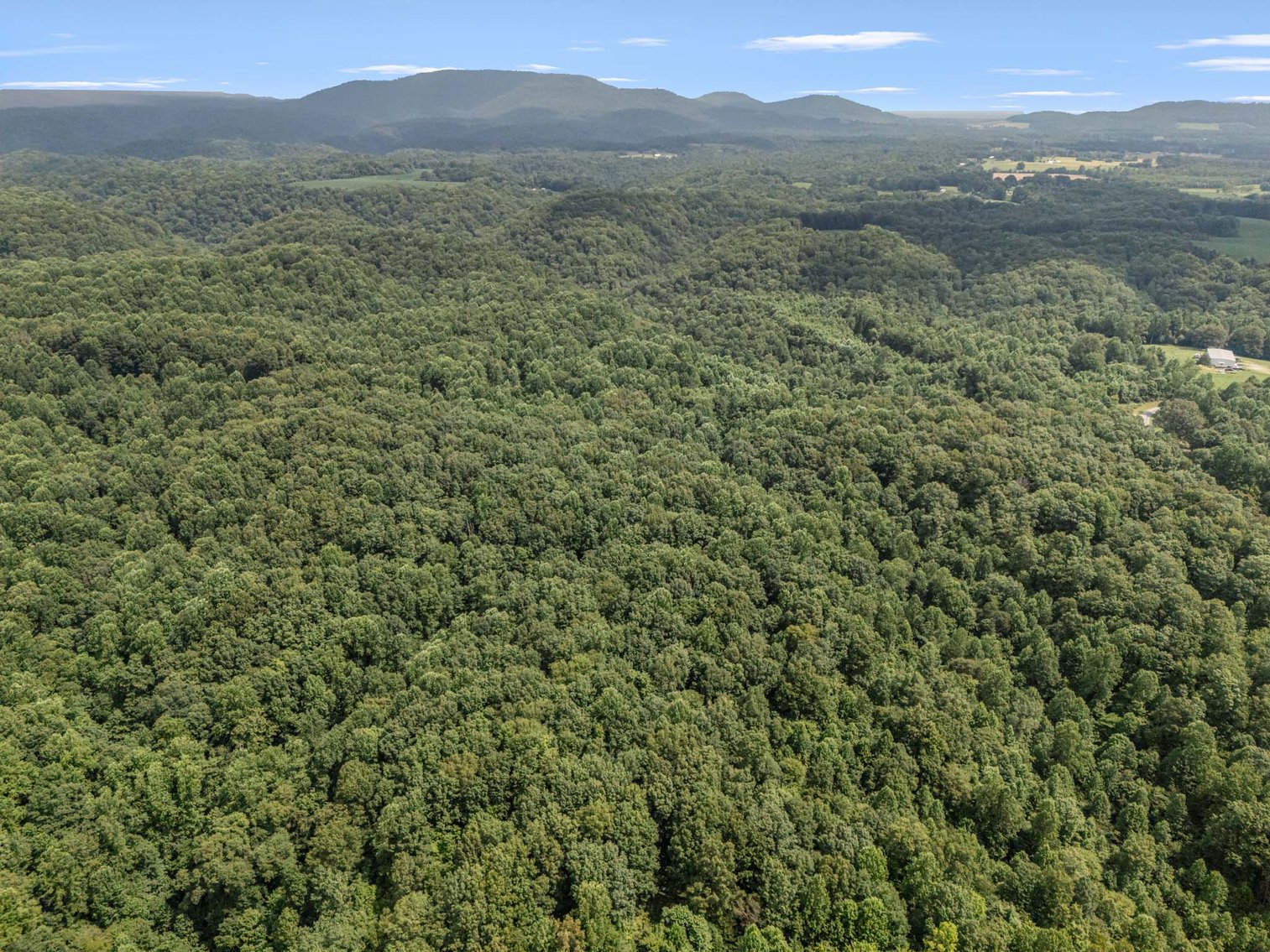Image for 3590 Parchcorn Hollow Rd, Woodbury